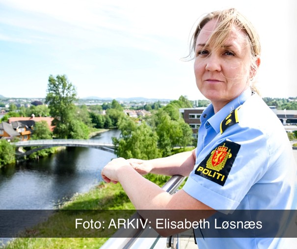 4.2.25: UP sin organisering og arbeidsmetodikk